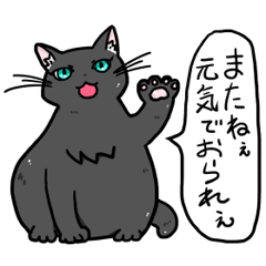 [LINEスタンプ] ほんのり富山弁で寄り添ってくる実家の猫