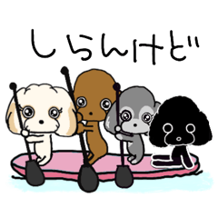 [LINEスタンプ] ノエル、モアナ、カノア、マウリ