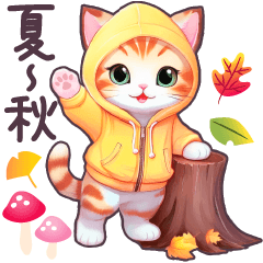 [LINEスタンプ] 夏から秋 毎日使える パーカーねこ 日常の画像（メイン）