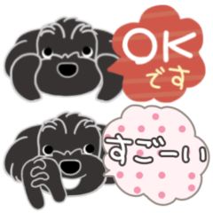 [LINEスタンプ] ずっと好き黒シュナの画像（メイン）