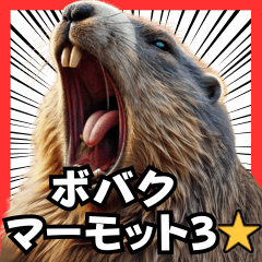 [LINEスタンプ] ⚫ボバクマーモット3⭐40匹セットの画像（メイン）