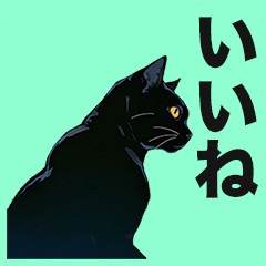 [LINEスタンプ] シンプル黒猫☆毎日スタンプの画像（メイン）