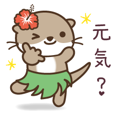 [LINEスタンプ] 毎日使える！こつめかわうそ in ハワイ