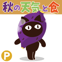 [LINEスタンプ] Popup！大人かわいい絵本の猫34秋の天気と食の画像（メイン）