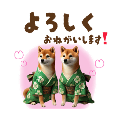 [LINEスタンプ] 日常スタンプ 着物の柴犬（敬語）