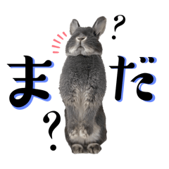 [LINEスタンプ] あんちゃんno2