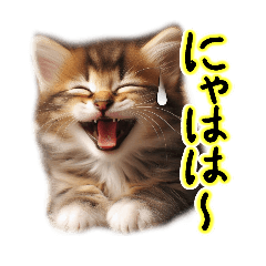 [LINEスタンプ] ネオねこまる