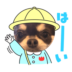[LINEスタンプ] titoてぃーと