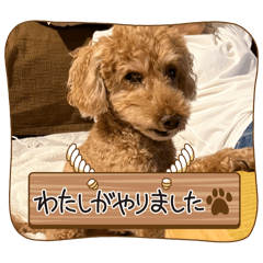 [LINEスタンプ] えんどうまろんくん