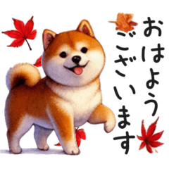 [LINEスタンプ] 秋の柴犬