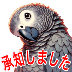 [LINEスタンプ] かわいいヨウムの日常 第二弾