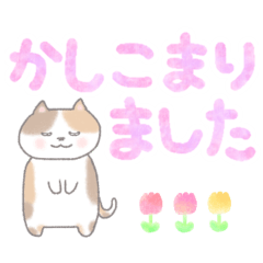 [LINEスタンプ] にゃんずの日常スタンプ【でか文字】