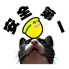 [LINEスタンプ] 安全第一！仕事猫エレが作業現場で一言！の画像（メイン）