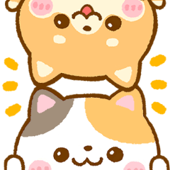 [LINEスタンプ] 連絡ことば♡豆柴日和♡ねこねこにゃんこの画像（メイン）