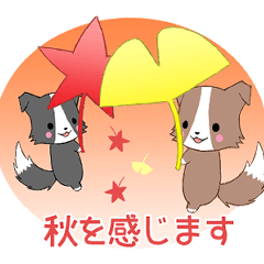 [LINEスタンプ] ちびボーダー17【秋】