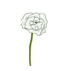 [LINEスタンプ] お花と花瓶のコーディネート