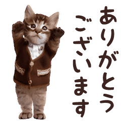 [LINEスタンプ] ▶︎踊る！にゃんこ【敬語】の画像（メイン）