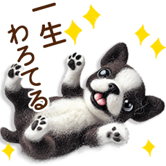 [LINEスタンプ] ずーっと関西弁♡羊毛ボステリの家族連絡