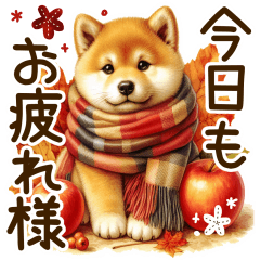 [LINEスタンプ] 毎日使える柴犬のデカ文字