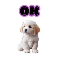 [LINEスタンプ] 子犬たくさん