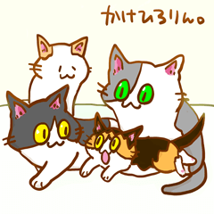 [LINEスタンプ] 【猫】かけひろりん。3【ねこ】