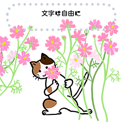 [LINEスタンプ] 秋の花と猫、文字は自由に。