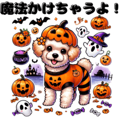 [LINEスタンプ] もふもふマルプーのルルちゃん ハロウィン