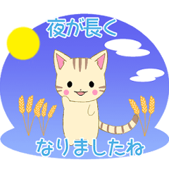 [LINEスタンプ] ちびにゃんこ13【秋】