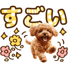 [LINEスタンプ] トイプードルのデカ文字スタンプ