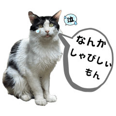 [LINEスタンプ] しじみも前へ