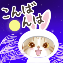 [LINEスタンプ] アレンジできる☆秋と猫のスタンプ