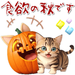 [LINEスタンプ] アニメ猫♡夏から秋へ 毎年使えるの画像（メイン）