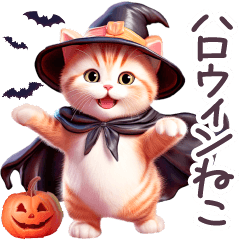 [LINEスタンプ] 秋に毎日使える ハロウィンねこ 日常