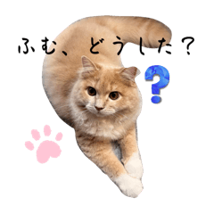 [LINEスタンプ] だいじぃぃん