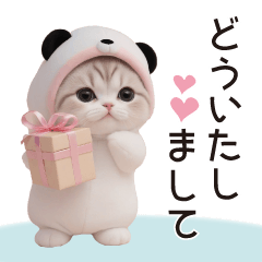 [LINEスタンプ] かわいいスコティッシュ猫 パンダ帽 敬語