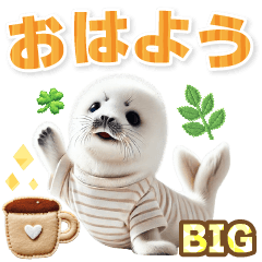 [LINEスタンプ] [BIG]毎日使えるあざらし