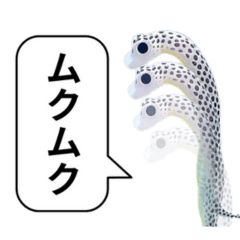 [LINEスタンプ] 真面目なチン・アナゴの画像（メイン）