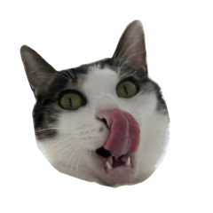 [LINEスタンプ] 我が家の猫スタンプ✳︎