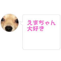 [LINEスタンプ] 大切なえまちゃんに送るメッセージスタンプ