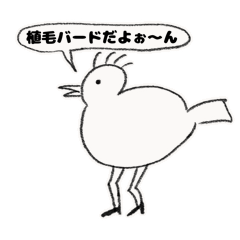 [LINEスタンプ] 植毛バードのピスターの画像（メイン）