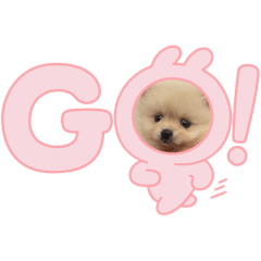 [LINEスタンプ] ぽちゃちゃんのスタンプ