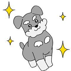 [LINEスタンプ] 楽しく動くミニチュアシュナウザーの日常