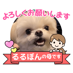 [LINEスタンプ] るるぽんちゃん☆かわち丸