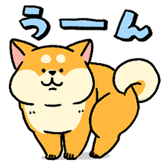 [LINEスタンプ] 【一年中使える】春夏秋冬！柴犬むち