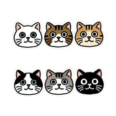 [LINEスタンプ] 文字のない猫だらけ