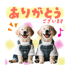 [LINEスタンプ] 日常スタンプ ゴールデンレトリバー子犬達