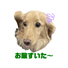 [LINEスタンプ] かいとの日常。