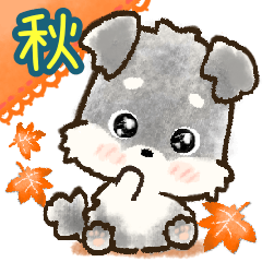 [LINEスタンプ] 愛犬シュナウザーdeごあいさつ♡秋