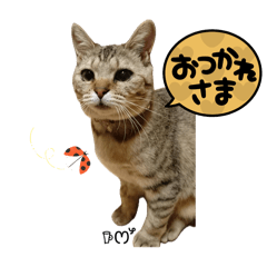 [LINEスタンプ] もこにゃー