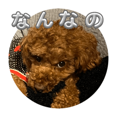 [LINEスタンプ] こころんつぶやき